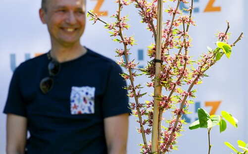 Ogród Botaniczny UZ jeszcze piękniejszy. W ramach akcji WOŚP zasadzono judaszowca