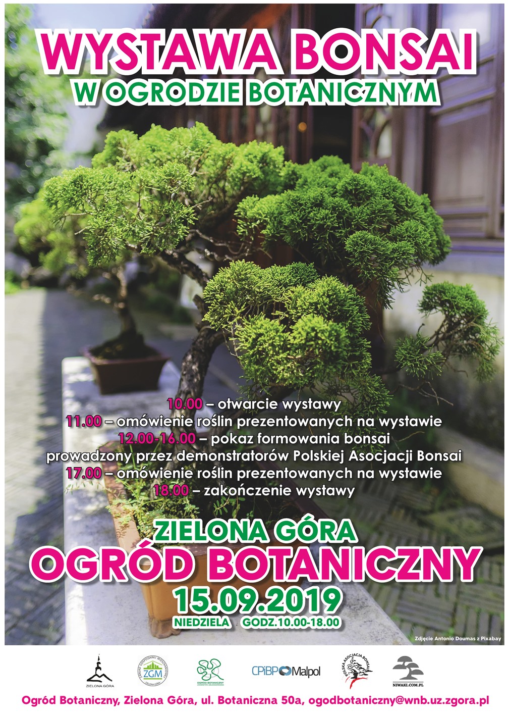 Bonsai-Ogród-Botaniczny-ZG-2019-A2.jpg