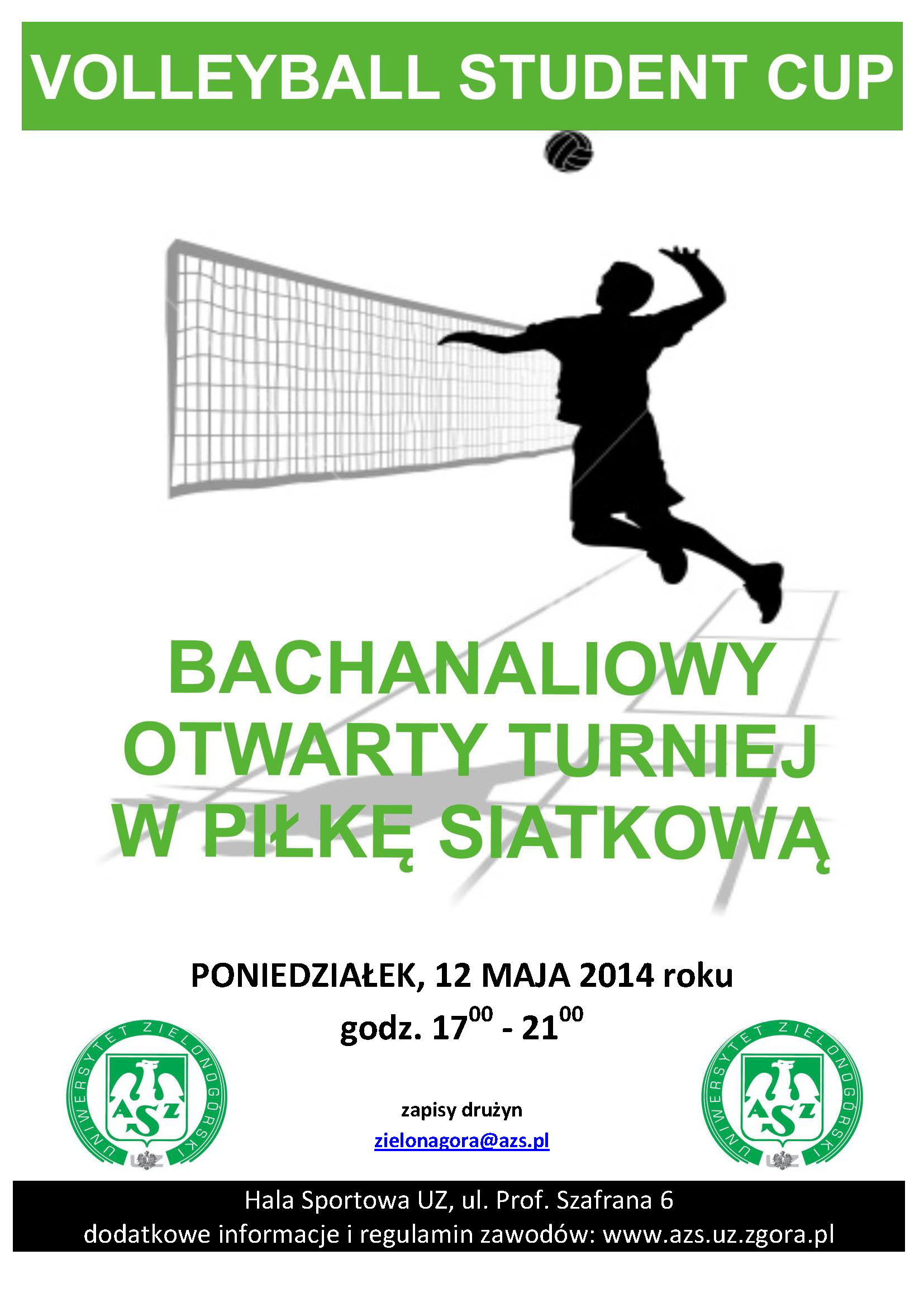 Plakat Volleyball Cup (Bachanalia 2014).jpg