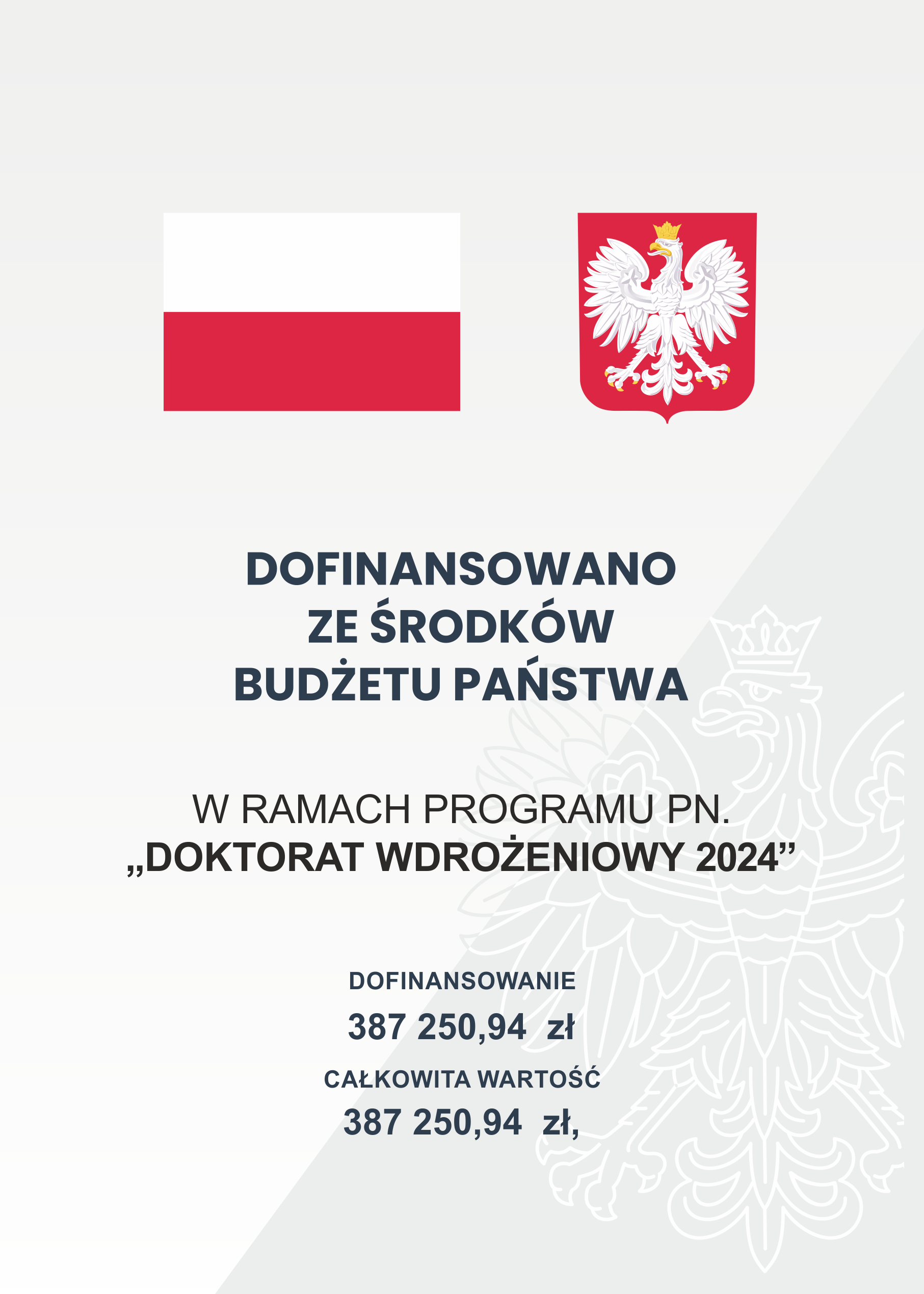 plakat_a3_w_ramach_programu_doktorat_wdrozeniowy_2024.png