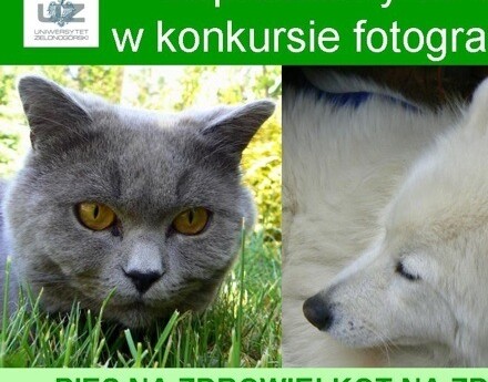 „Pies na zdrowie! Kot na zdrowie!”  - konkurs fotograficzny na UZ