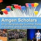 Startuje kolejna edycja programu Amgen Scholars - wyjątkowa szansa dla młodych naukowców