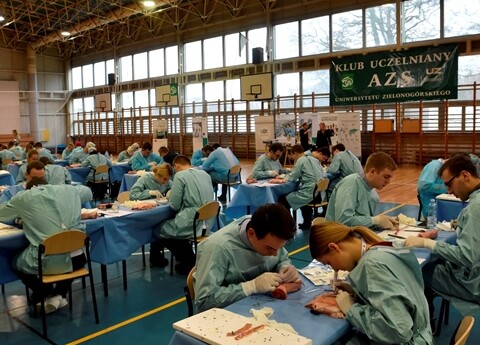 II Mistrzostwa Polski w Szyciu Chirurgicznym dla studentów medycyny na UZ