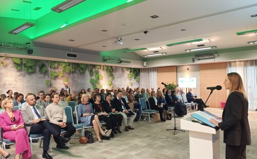 Medycyna paliatywna i sposoby na kompleksową walkę z bólem