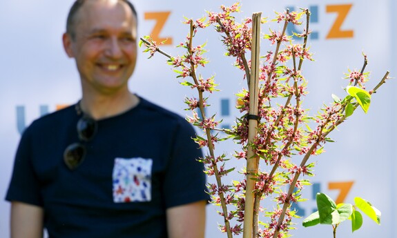 Ogród Botaniczny UZ jeszcze piękniejszy. W ramach akcji WOŚP zasadzono judaszowca