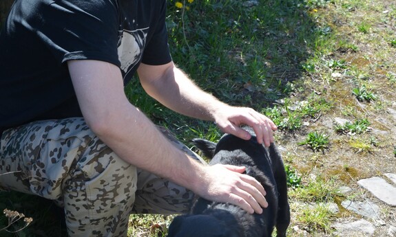 Studenci z Koła Naukowego BiomedUZ stworzyli protezę dla psa ze schroniska w Nowej Soli
