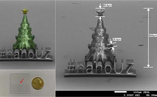 Małe też jest piękne, czyli o najmniejszej choince na UZ