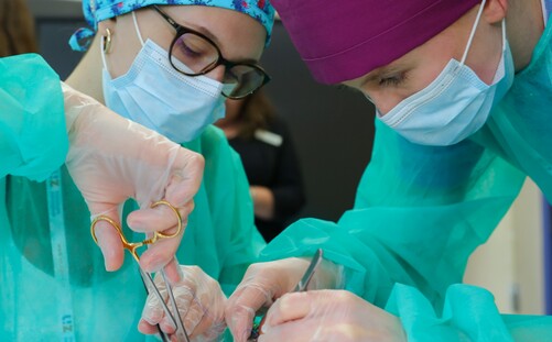 Medical Students Test Their Skills at the MedSkillsCup Conference