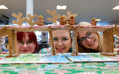 Wprawiamy się w świąteczny nastrój na UZ